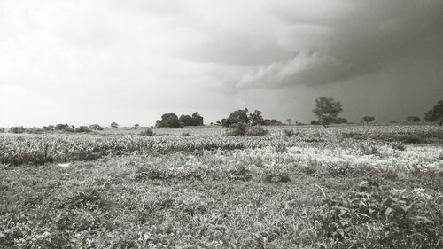 Scenic view of field against cloudy sky