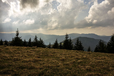 Scenic view of field against sky