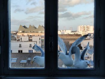 Cityscape seen through window