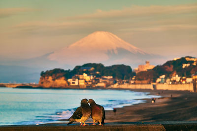 Scenic view of sea with couple birds and snowcapped mountain against sky during sunrise