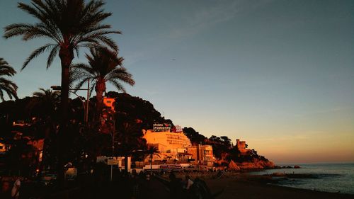 Palm trees on beach against sky during sunset