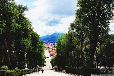 Panoramic shot of trees on landscape against sky