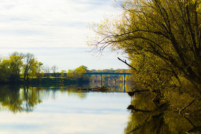 Reflection of trees in lake against sky