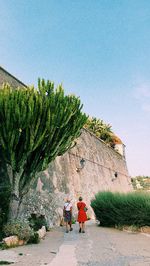 People on plant against sky