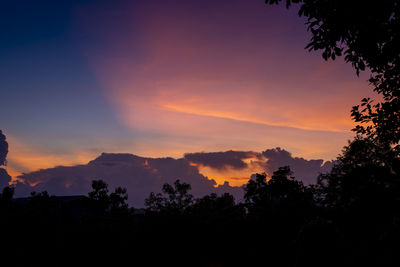 Low angle view of silhouette trees against sky during sunset