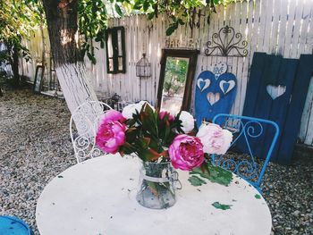 Potted plants in backyard