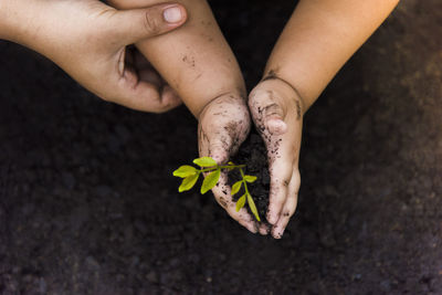 Cropped image of woman holding child hand with plant and soil
