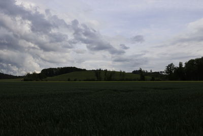 Scenic view of agricultural field against sky