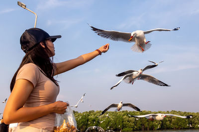 Low angle view of seagulls flying against sky