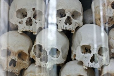 Close-up of human skull