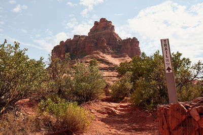 Plants on landscape against sky