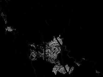 Close-up of water at night