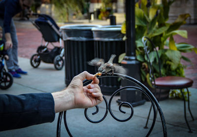 Close-up of woman with bicycle