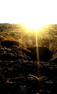 Sun shining over landscape