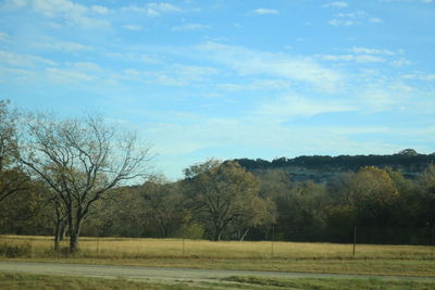 Scenic view of field and trees against sky