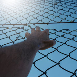 fence