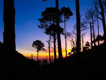 Silhouette trees against sky during sunset