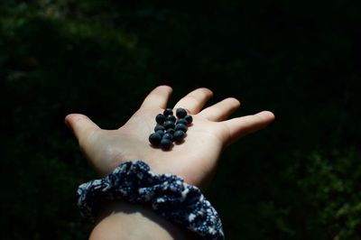 Picked berries in palm hand under a spotlight in the woods 