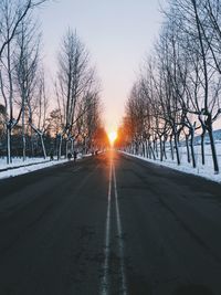 Bare trees on snow covered landscape