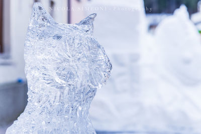 Close-up of icicles against blurred background