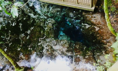 Stream flowing through rocks