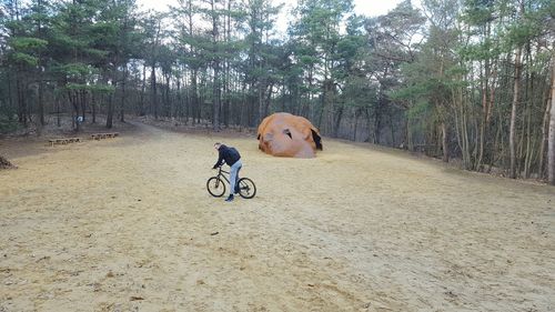 Man riding bicycle on road amidst trees