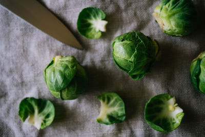 Directly above shot of brussels sprout on fabric