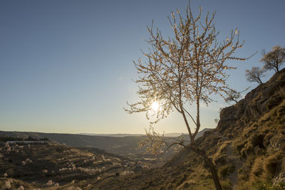 Scenic view of landscape against clear sky