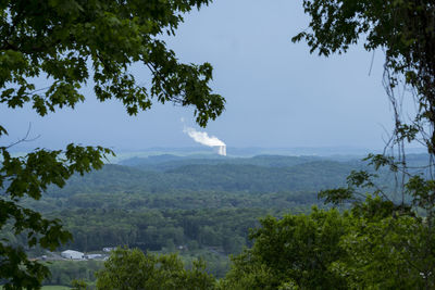 Scenic view of forest