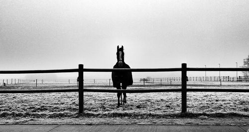 People standing on bridge over sea