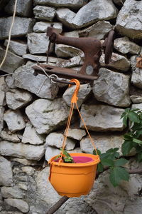 Close-up of potted plant against stone wall