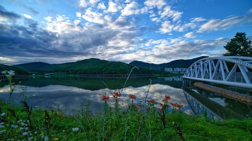 Lakeside scenery at morning