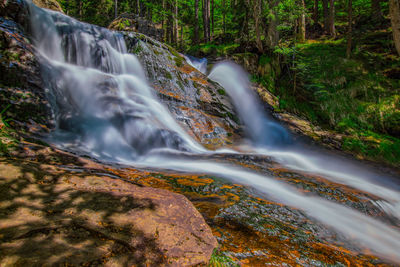 Scenic view of waterfall in forest