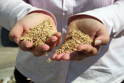 Midsection of man holding wheat