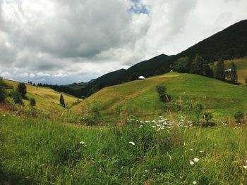 Scenic view of field against sky