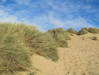 Scenic view of beach against sky