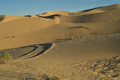 Sand dunes natural wind-blown sand and off road vehicle tire track imperial sand dunes california