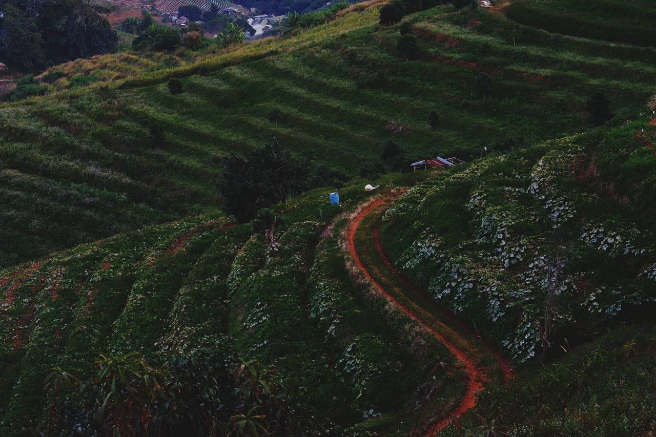 landscape, agriculture, environment, field, land, plant, scenics - nature, growth, rural scene, aerial photography, crop, beauty in nature, farm, nature, green, tranquility, high angle view, terrace, tranquil scene, no people, mountain, outdoors, tree, day, plantation, terraced field, aerial view, rural area, idyllic, plateau