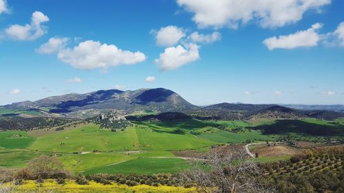 Scenic view of agricultural field against sky