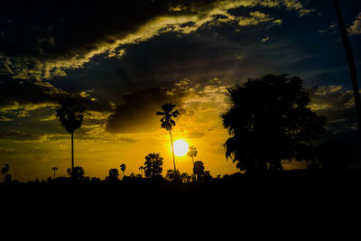 Low angle view of silhouette trees against sky during sunset