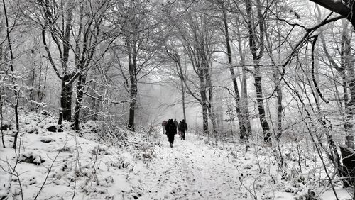 Rear view of people walking in forest during winter