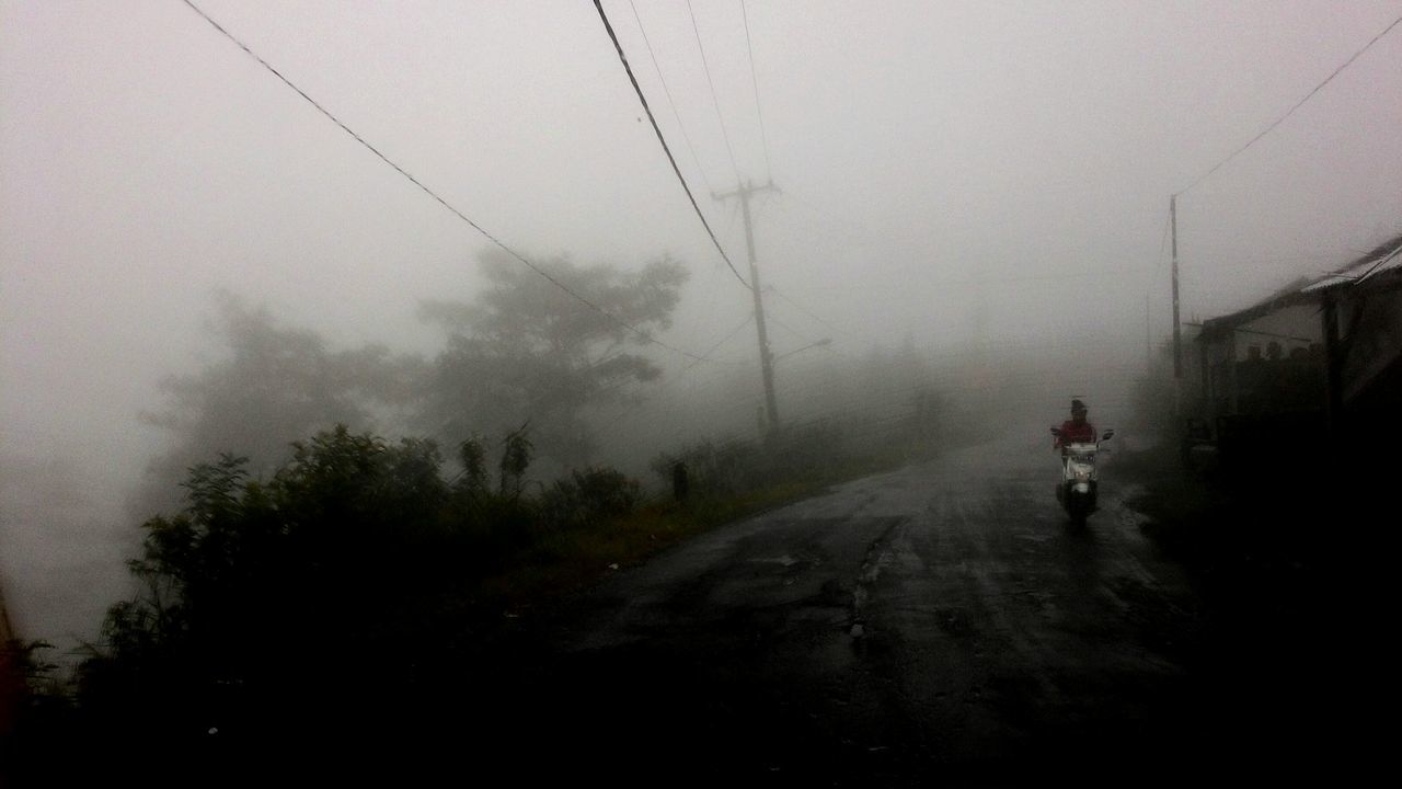 fog, foggy, weather, tree, transportation, sky, the way forward, walking, road, men, nature, full length, silhouette, outdoors, day, street, electricity pylon, lifestyles