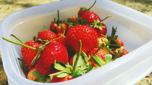 Close-up of strawberries in bowl