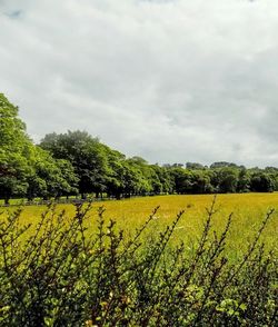 Scenic view of field against cloudy sky