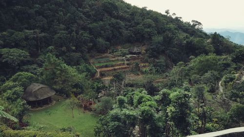 Scenic view of agricultural landscape against sky