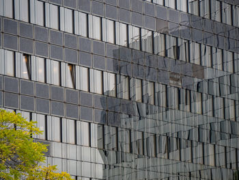 Full frame shot of footpath