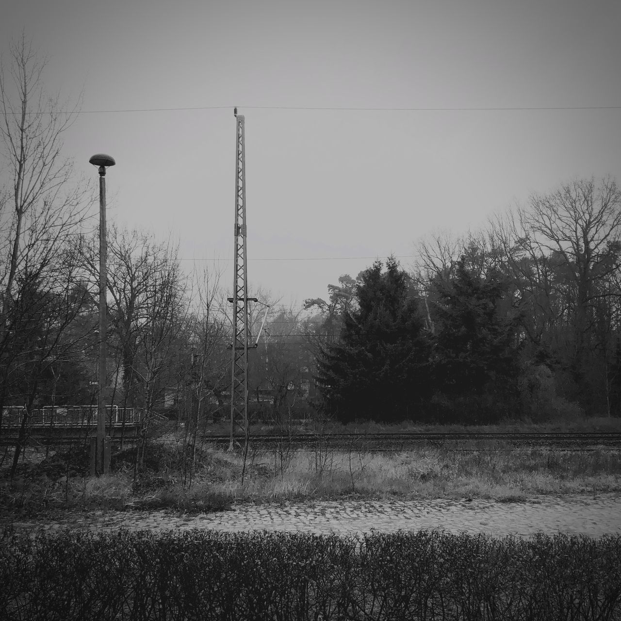 STREET LIGHT ON FIELD AGAINST SKY