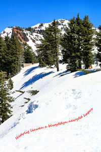 Text on snow covered mountain against sky