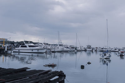 Sailboats moored in harbor