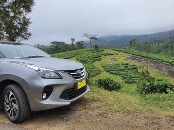 Car on road amidst trees on field against sky